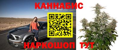 мдпв Вязники